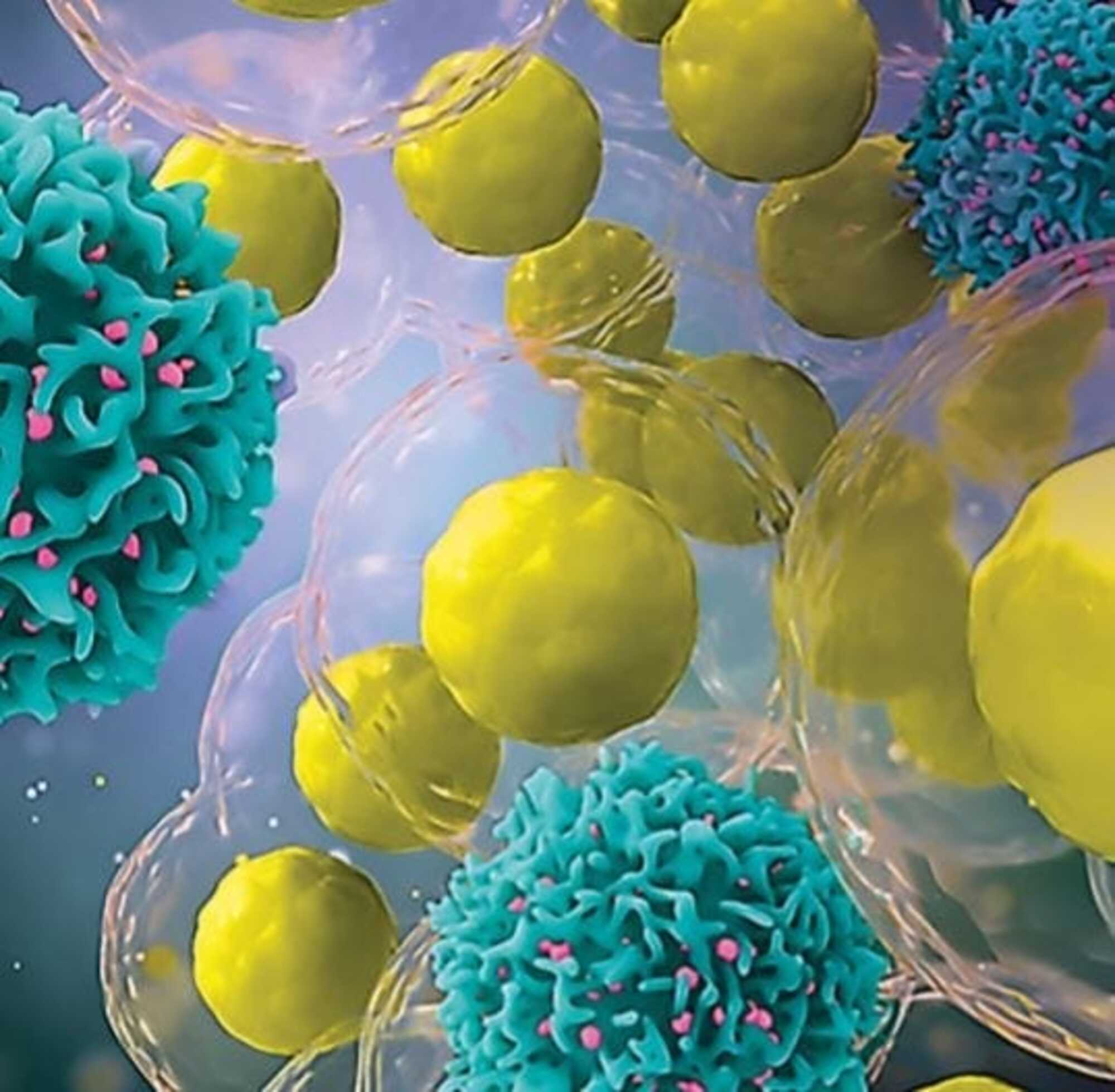 iQue® Human T Cell Phenotyping Kit (CD3, CD4 and CD8)