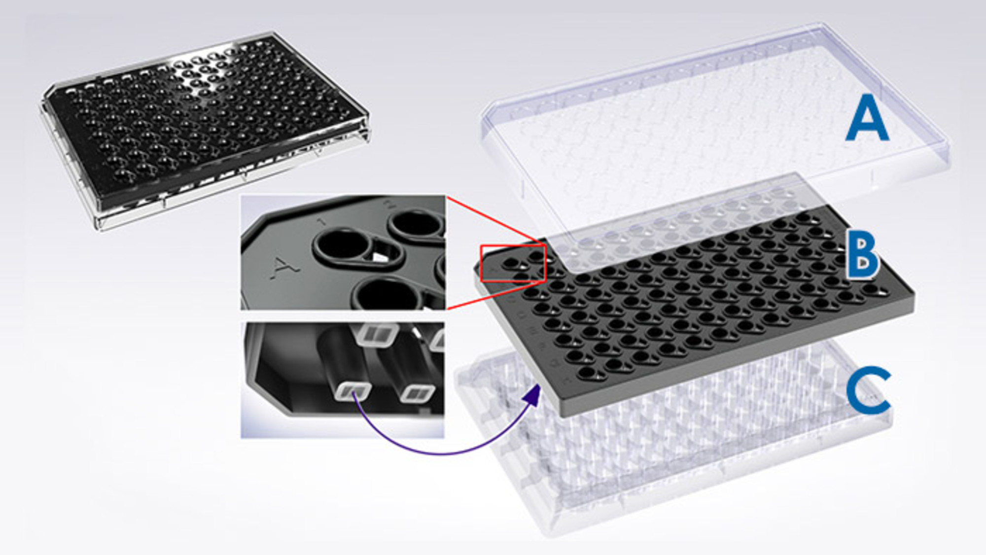 Incucyte® Clearview 96-well Microplate for Chemotaxis