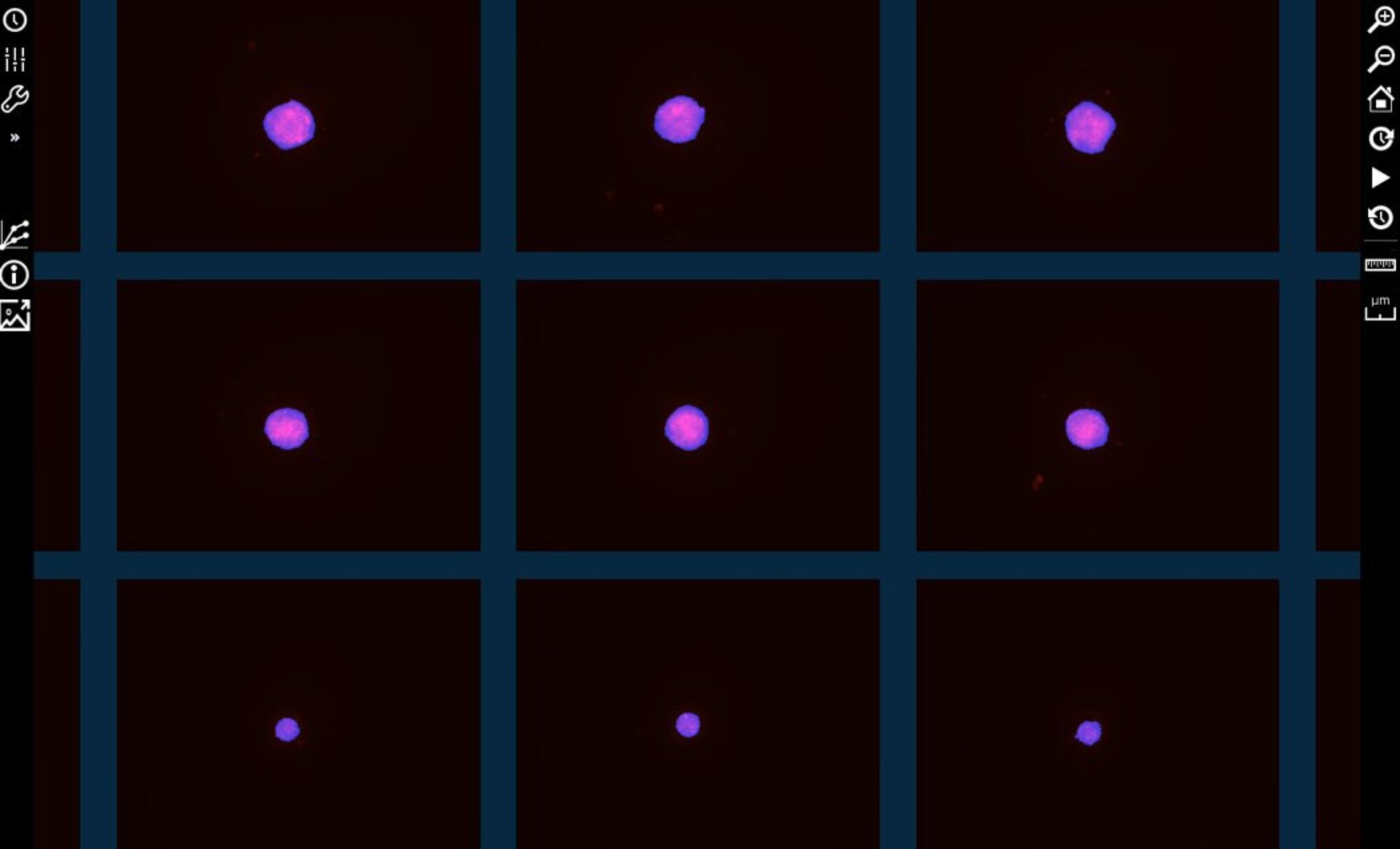 Incucyte® Spheroid Analysis Software Module