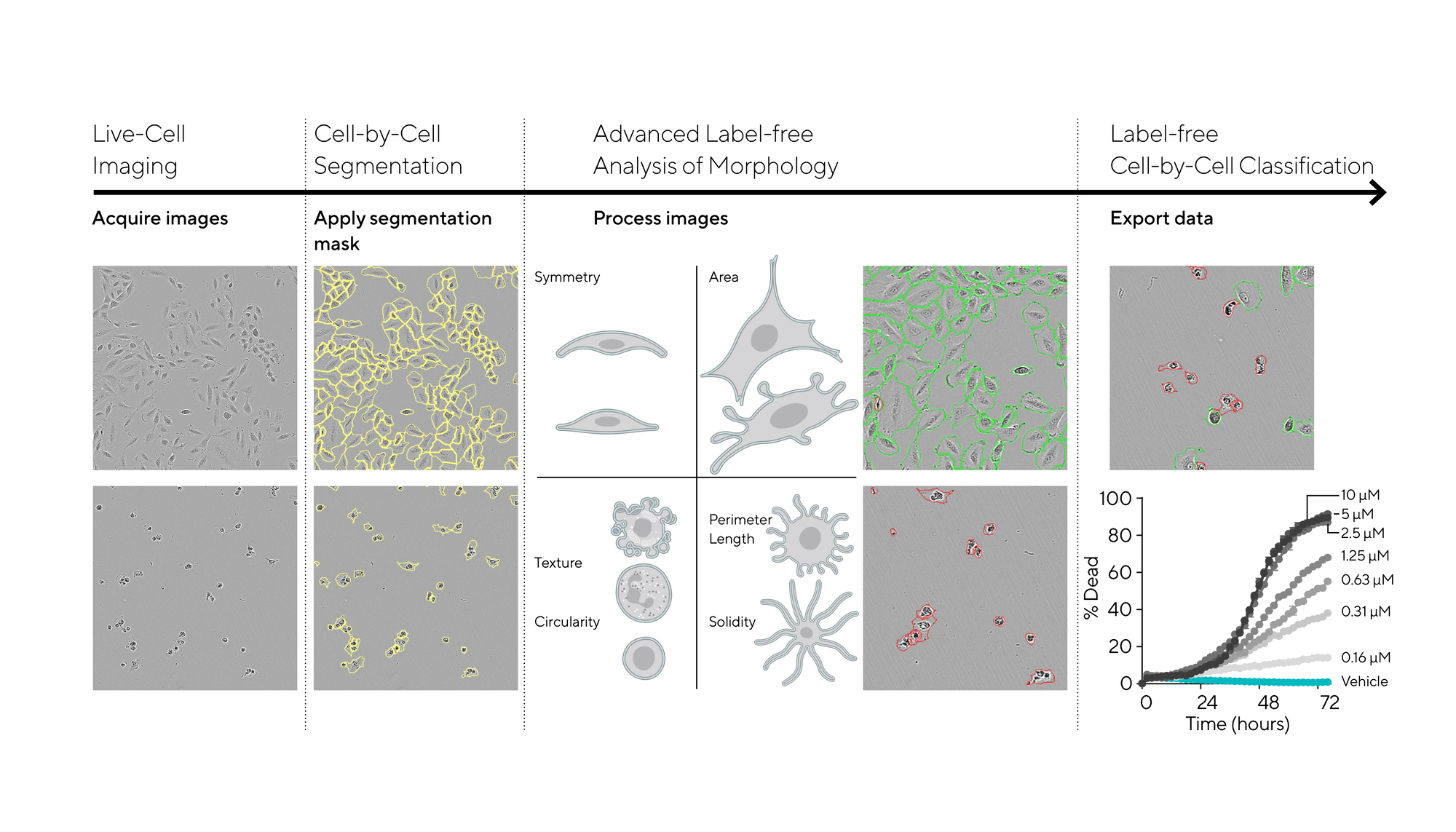 Incucyte® Advanced Label-Free Classification Analysis Software Module