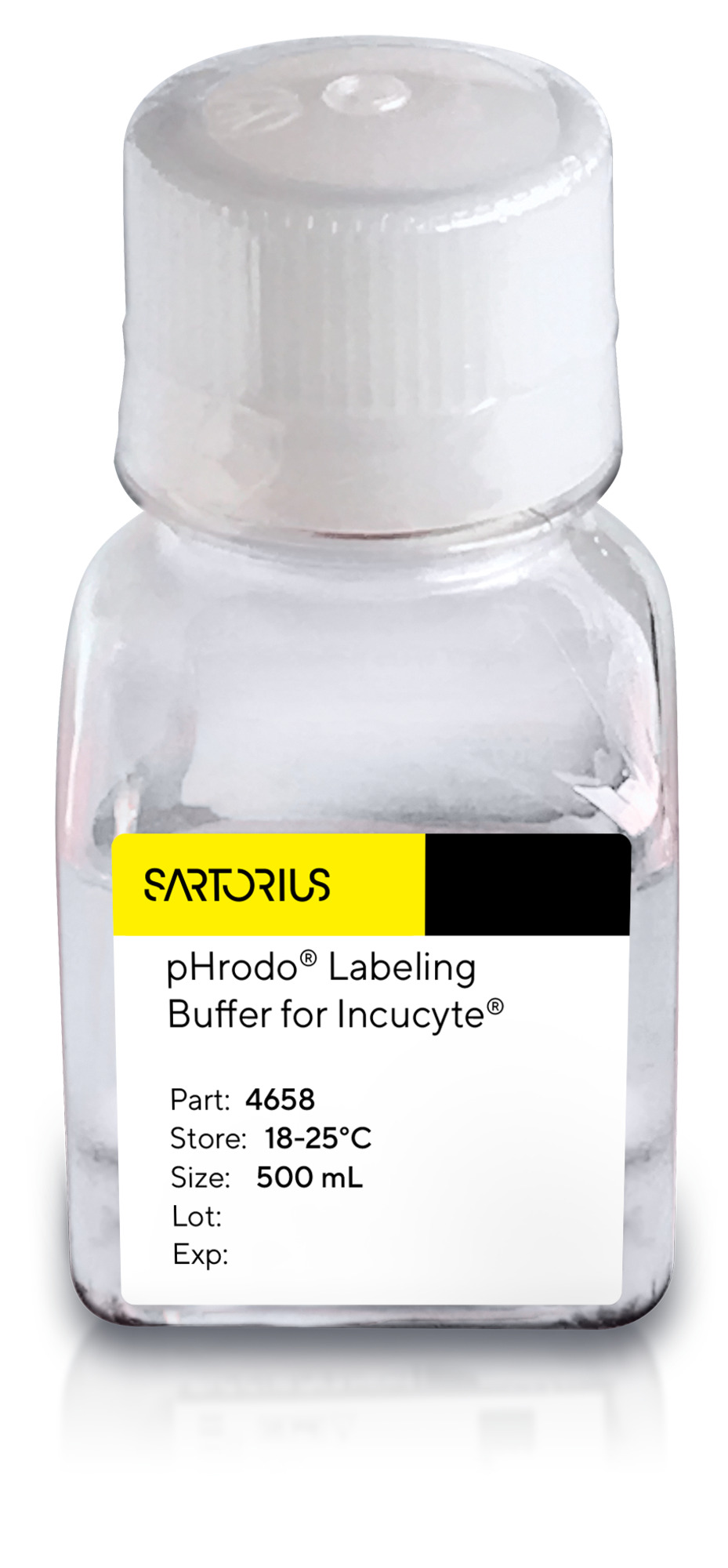pHrodo ® Labeling Buffer for Incucyte®