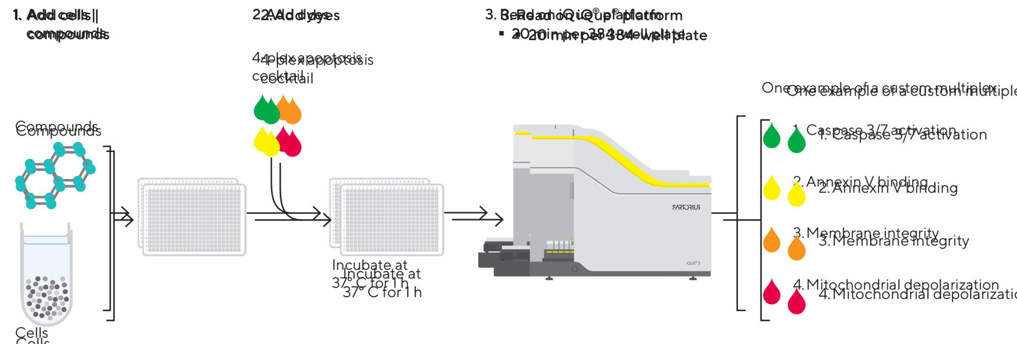 iQue® Human 4-Plex Apoptosis Kit