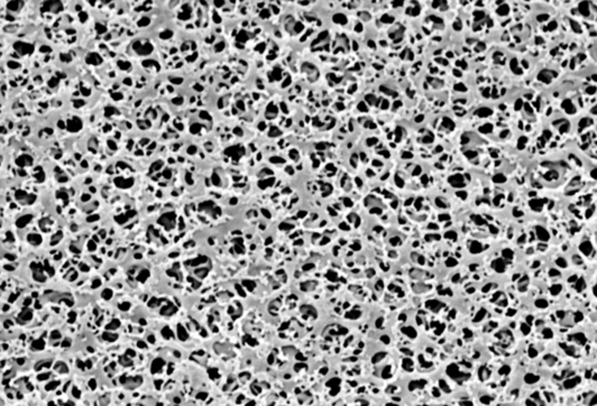 Cellulose Acetate Membrane Filters Discs/ Type 11106, pore size 0.45 µm, 100 pieces per pack