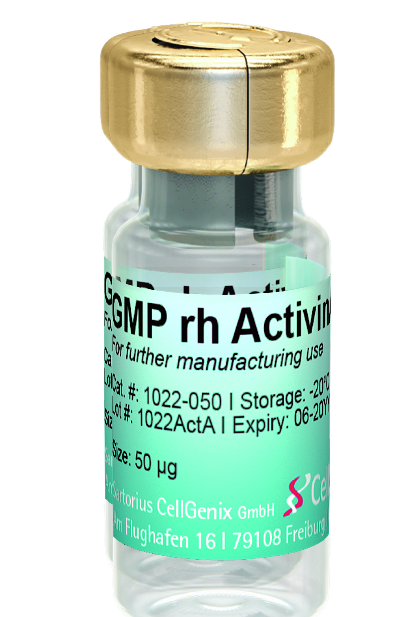 CellGenix® rh Activin A (GMP Grade)