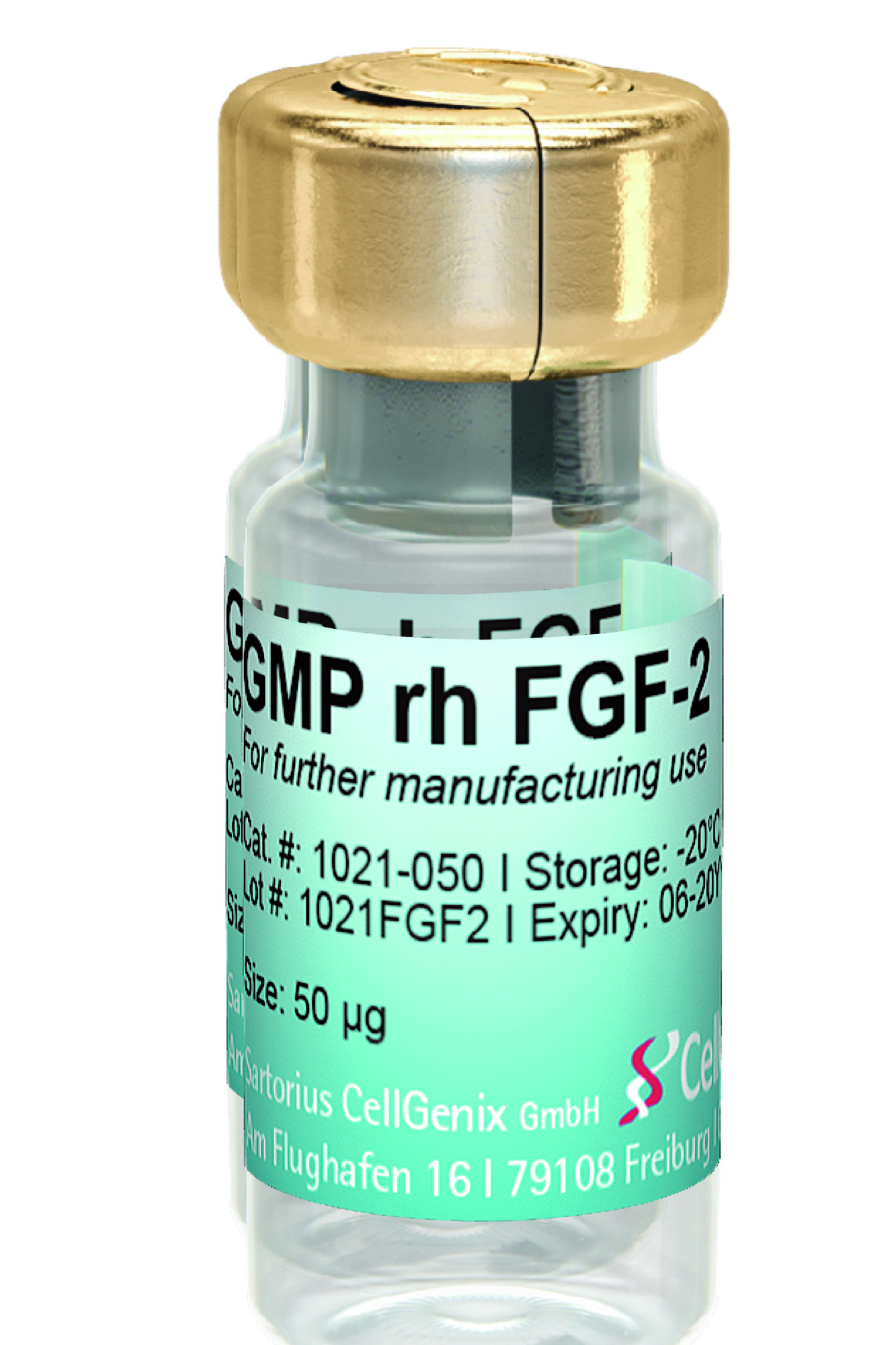 CellGenix® rh FGF-2 (GMP Grade)