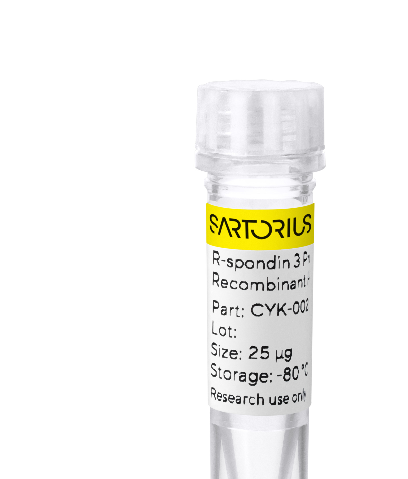 RUO Recombinant Human R-spondin 3 Protein