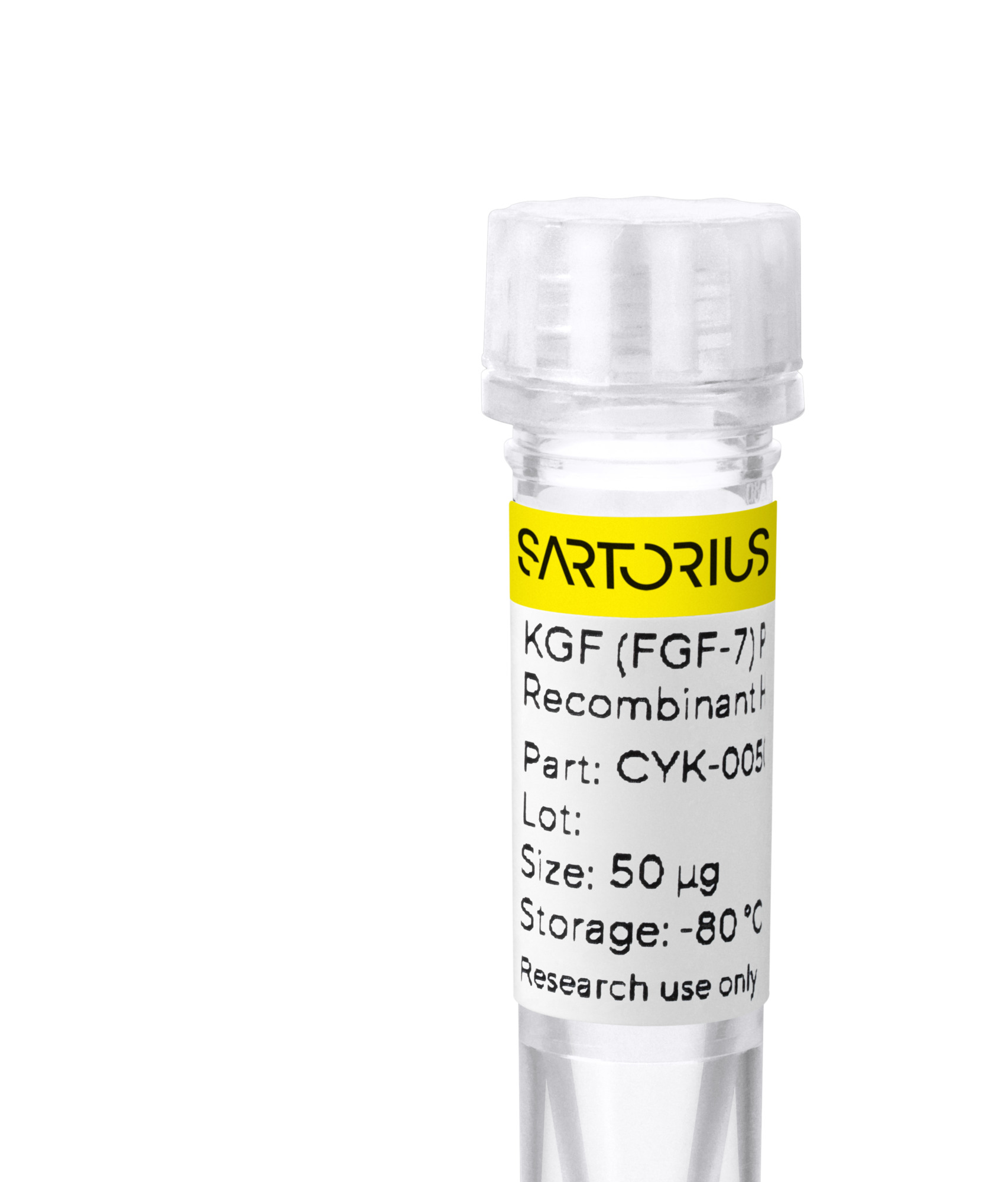 RUO Recombinant Human KGF (FGF-7) Protein