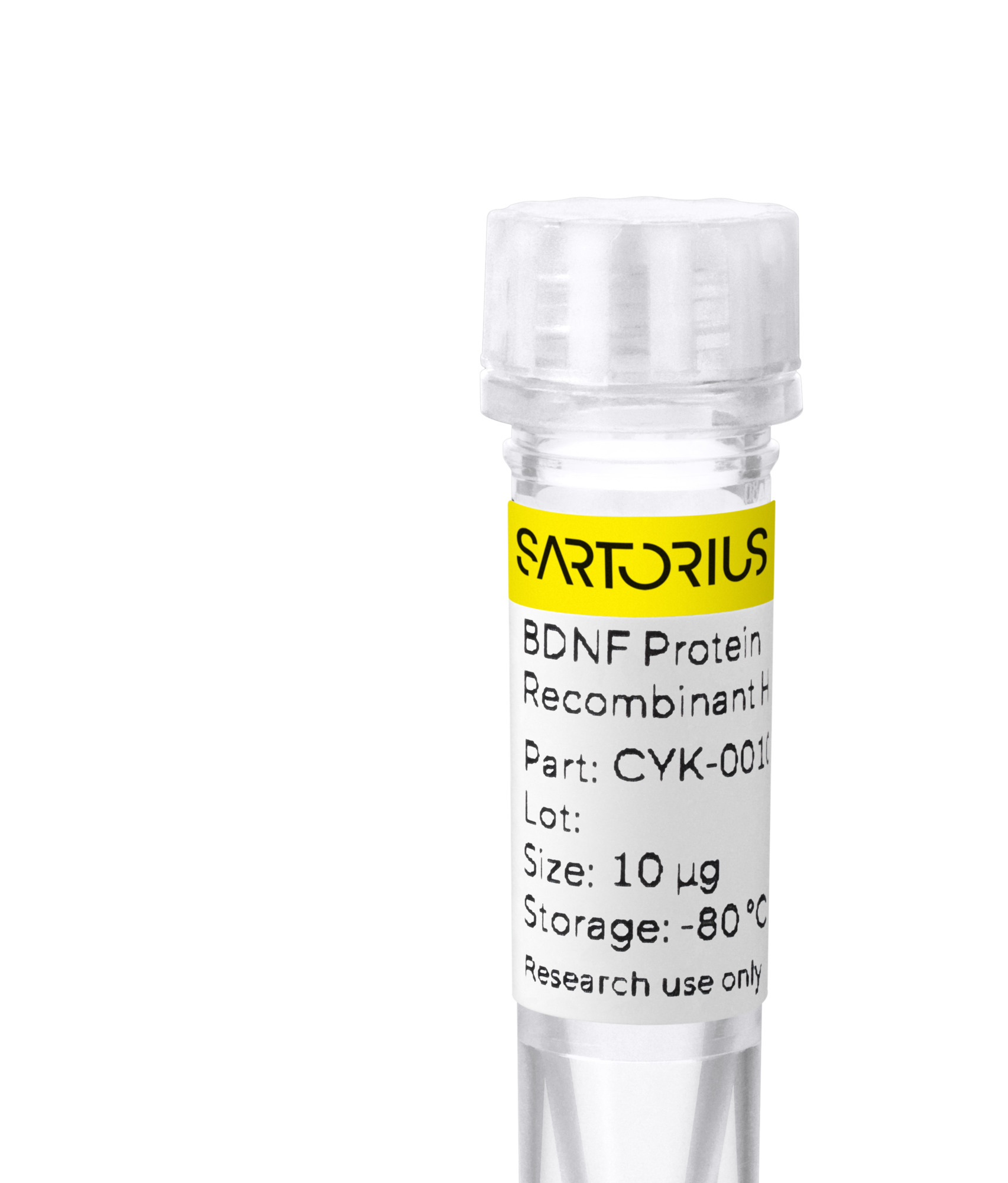 RUO Recombinant Human BDNF Protein