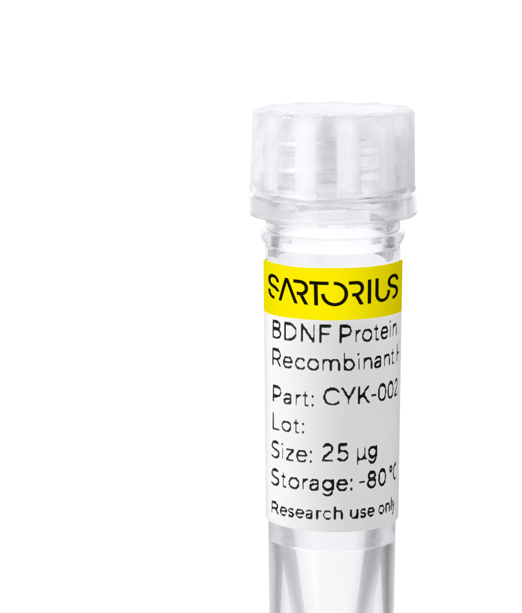 RUO Recombinant Human BDNF Protein
