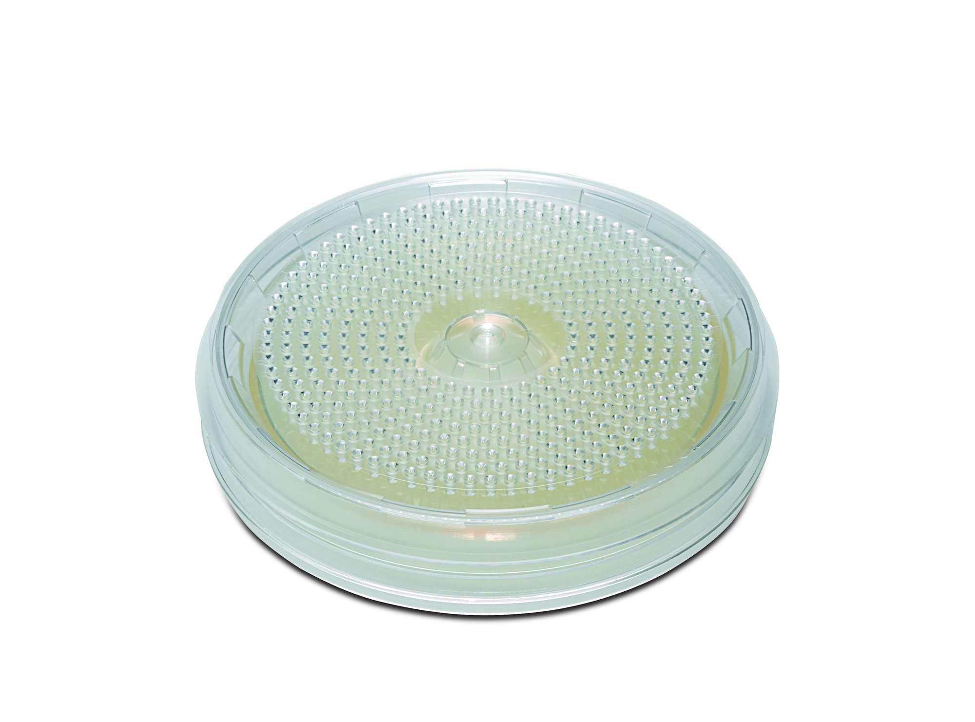 Nitrocellulose w/grid, 0.8µ, 80mm, 100Pk