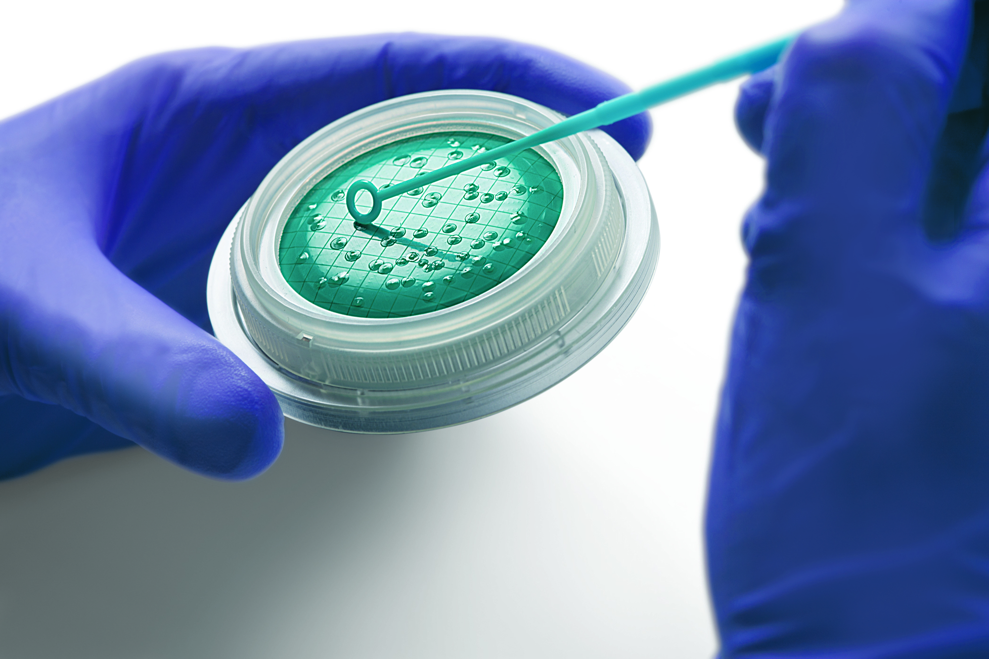 Microsart® @media Sterile Double Packaged and Ready-to-use Prefilled Agar Media Dishes