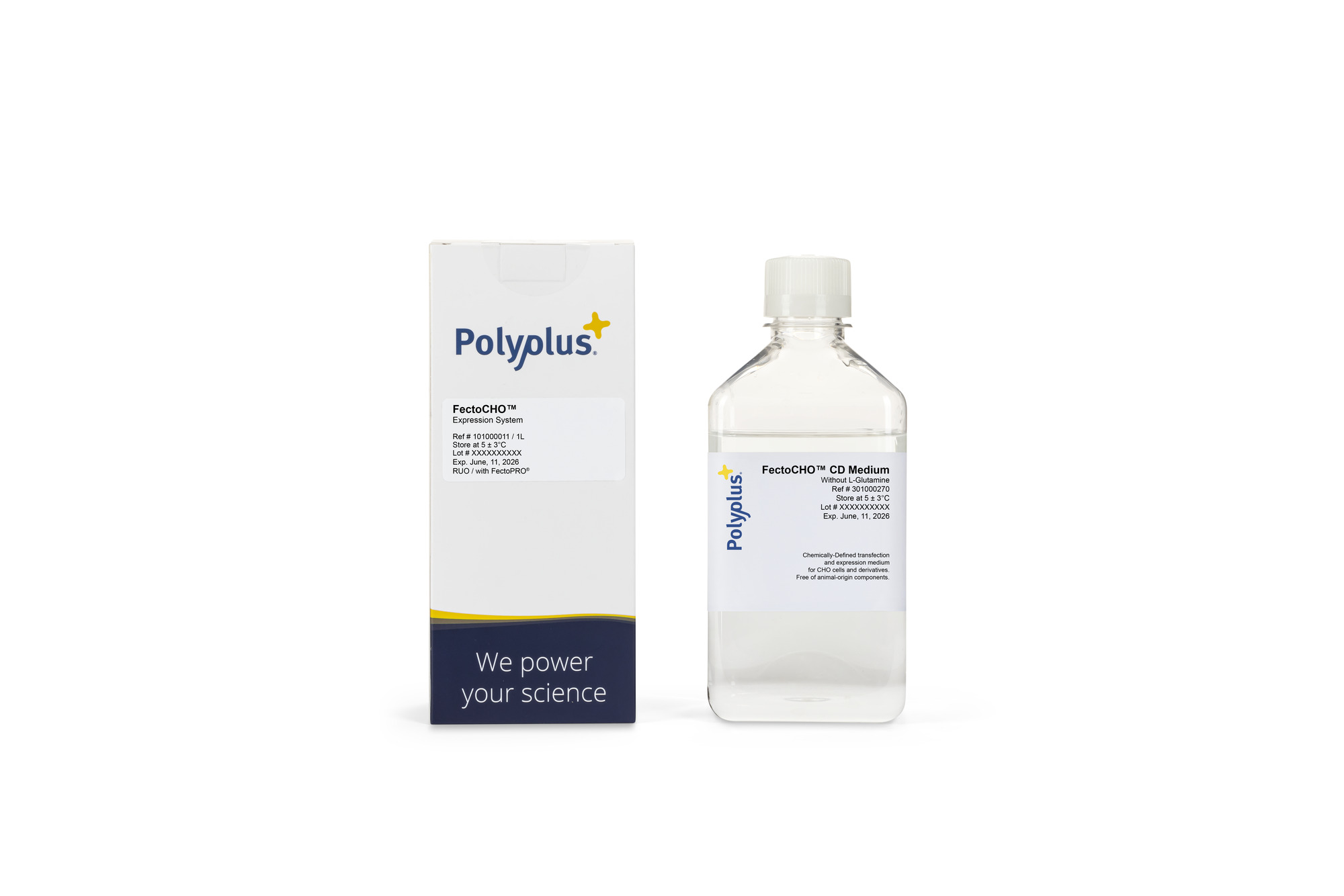 Transfection For Protein Production