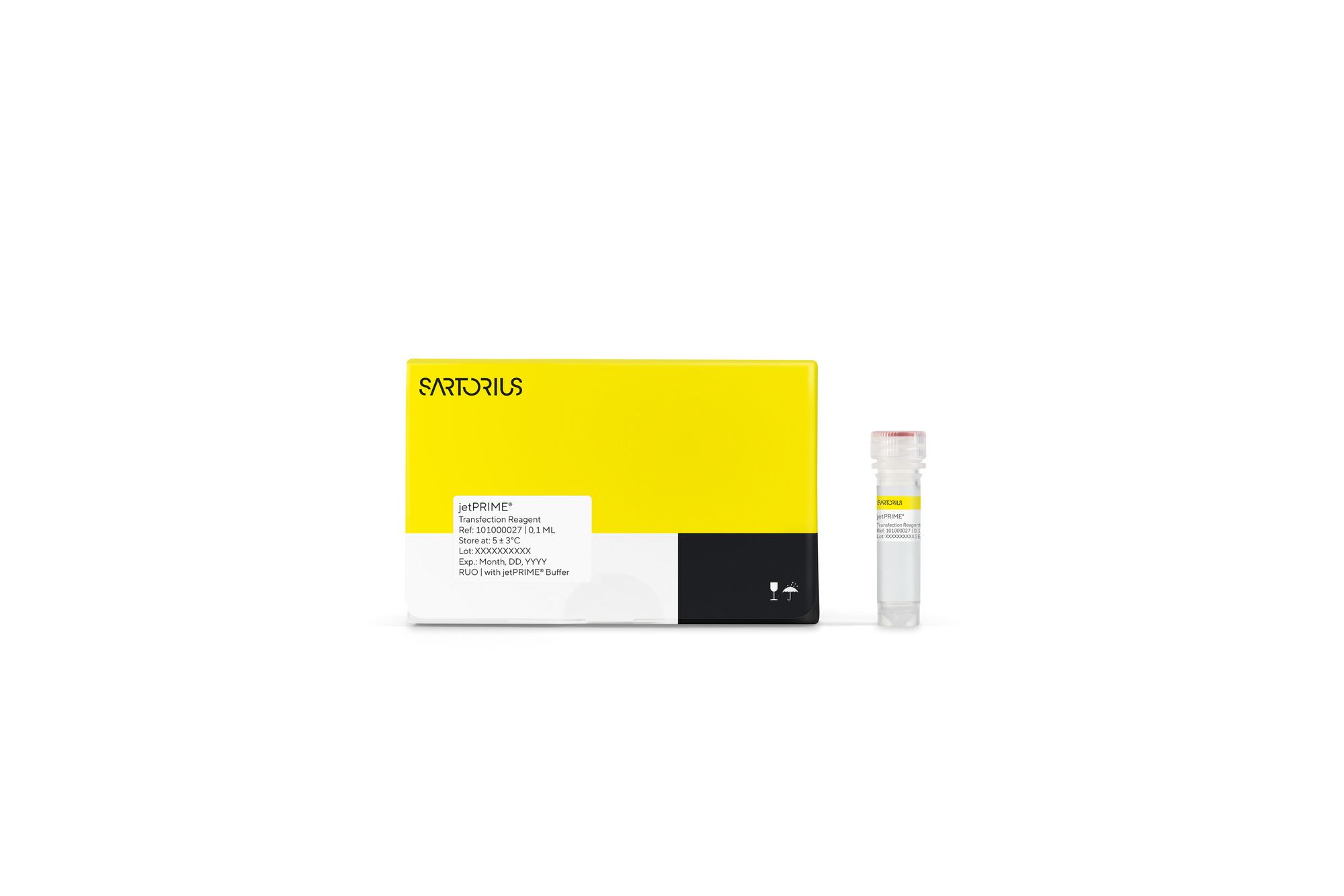 jetPRIME® DNA/siRNA (co-) transfection