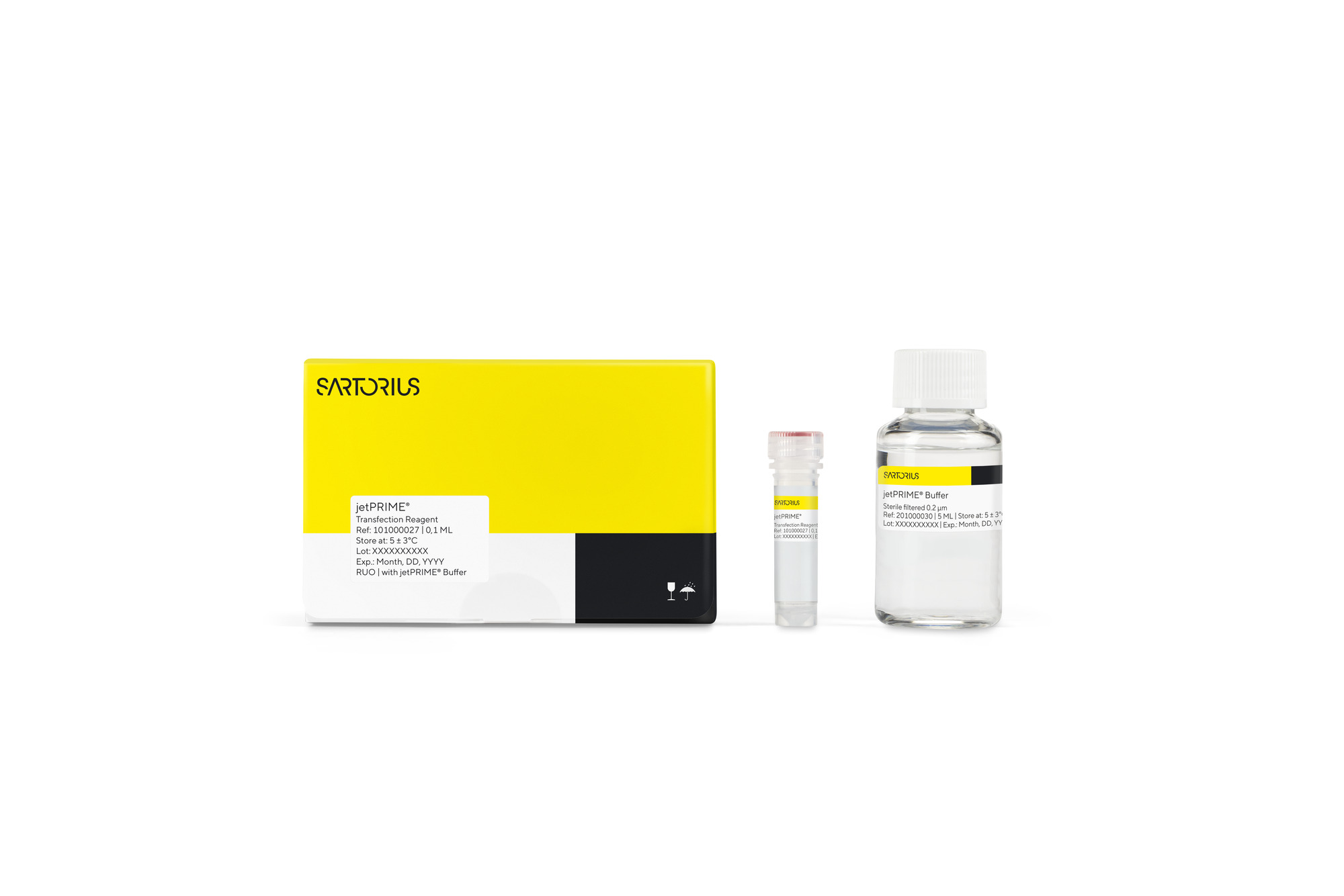 jetPRIME® DNA/siRNA (co-) Transfection
