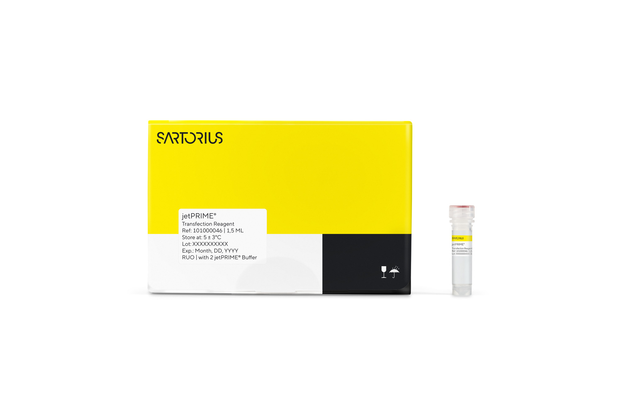 jetPRIME® DNA/siRNA (co-) transfection