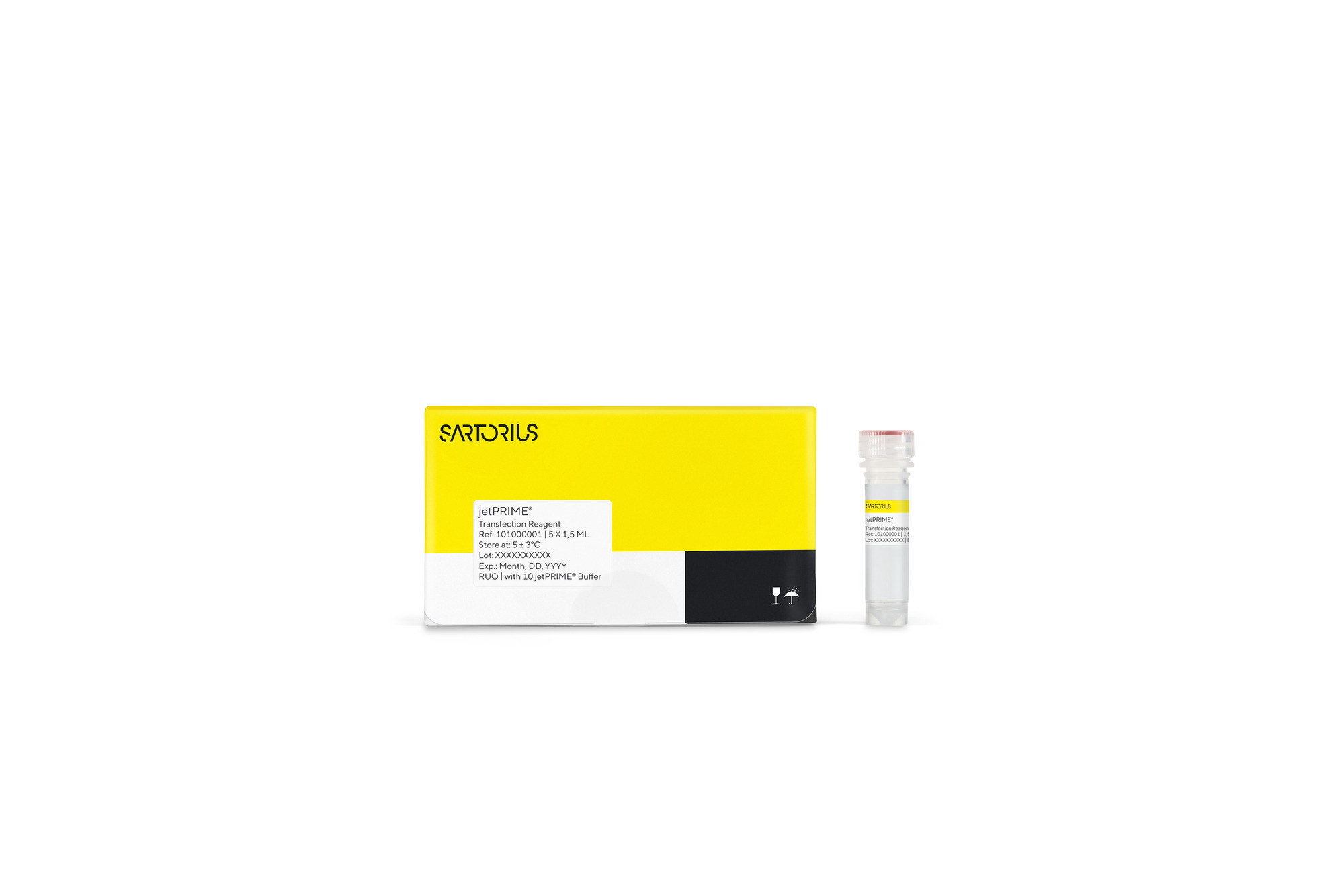 jetPRIME® DNA/siRNA (co-) transfection