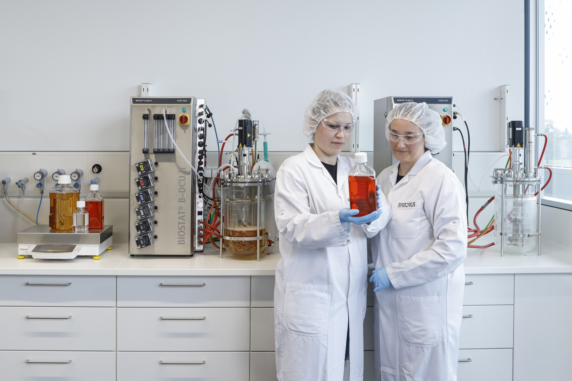 CHO Cell Line Development Service - DNA2Pool Service Package