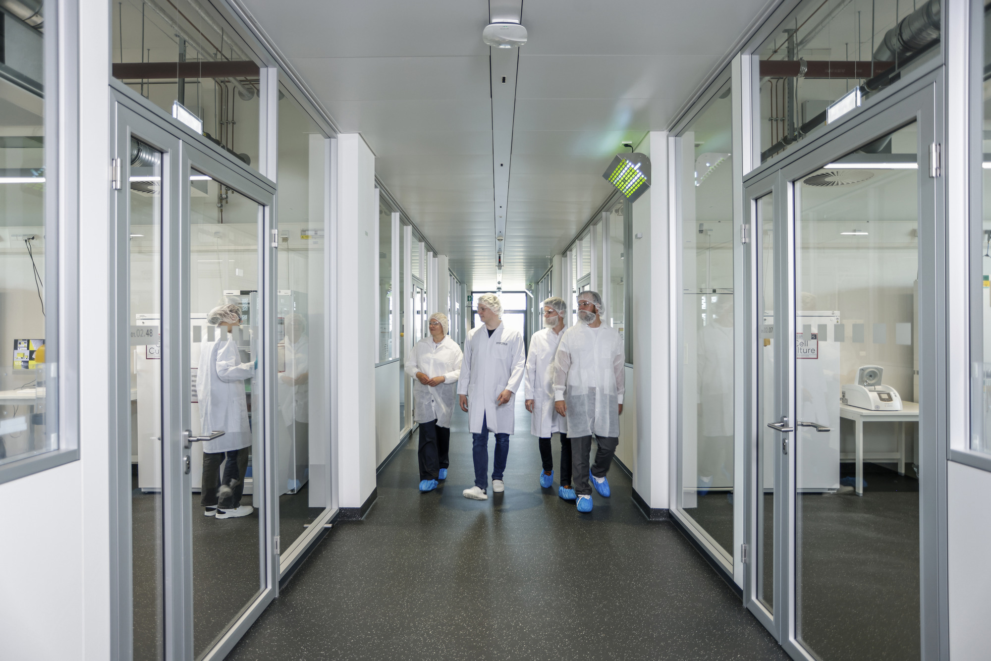 CHO Cell Line Development Service - DNA2Pool Service Package