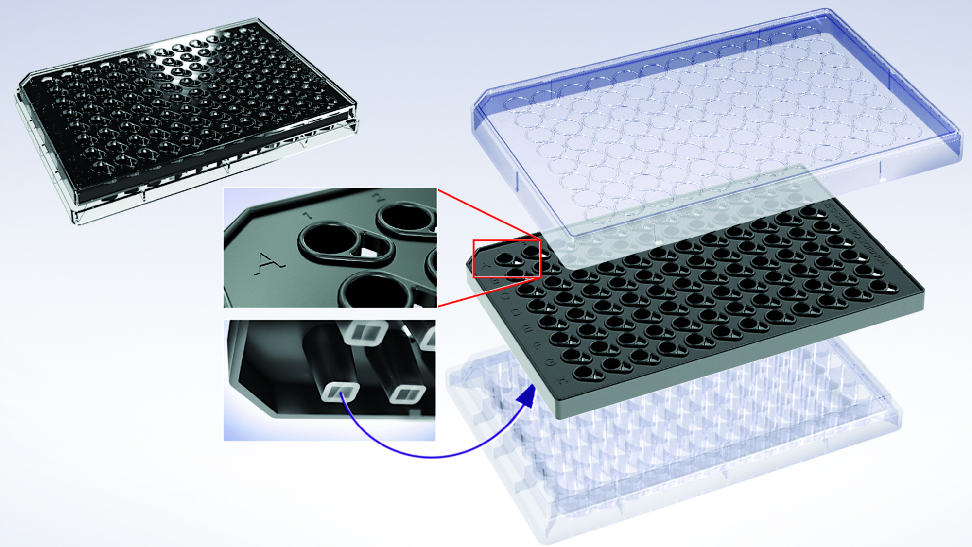 Incucyte® Clearview 96-well Microplate for Chemotaxis