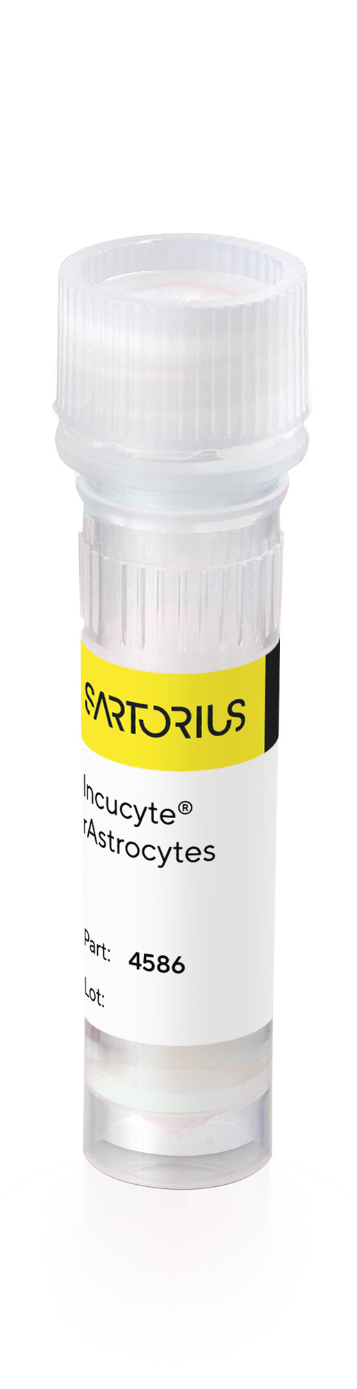 Incucyte® rAstrocytes