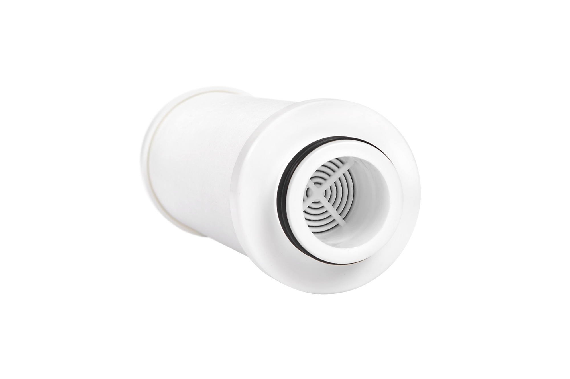 Arium® Activated Carbon Filter