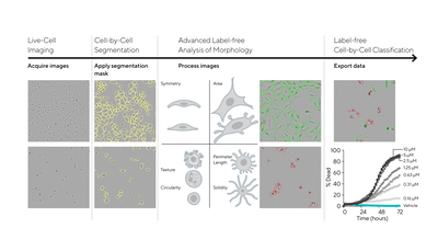 Incucyte® Advanced Label-Free Classification Analysis Software Module