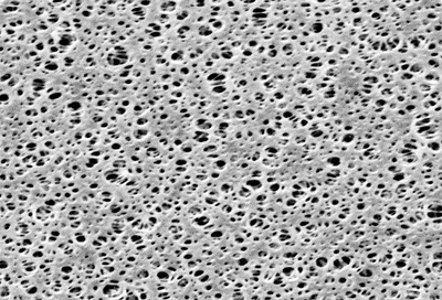 Polyethersulfone Membrane Filter Discs - Type 15406- 0.45 µm, 25 pieces per pack