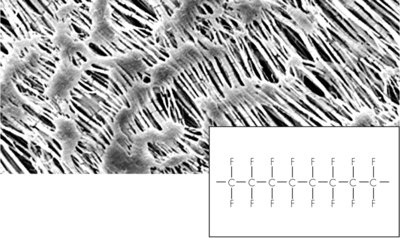 Hydrophobic PTFE Membrane Filters / Type 11807