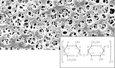 Regenerated Cellulose Membrane Filters / Type 18407, 0.2 µm pore size, 50 mm diameter, 100 pieces per pack
