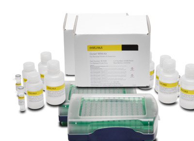 Octet® Protein A (ProA) Detection Kit