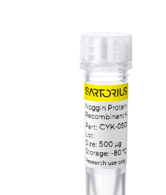 RUO Recombinant Human Noggin Protein