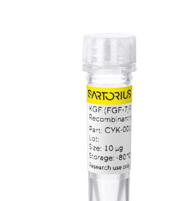 RUO Recombinant Human KGF (FGF-7) Protein