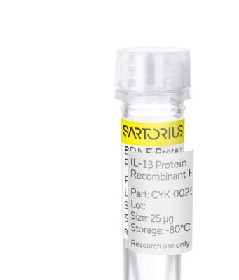 RUO Recombinant Human IL-1 Beta Protein