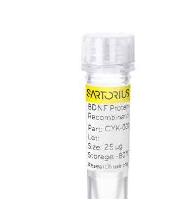 RUO Recombinant Human IL-21 Protein