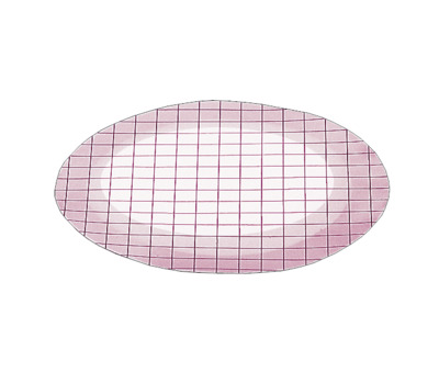 Cellulose Nitrate (CN) Membrane Filter