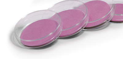 Endo NPS & gridded MF, 0.45µm High Flow, 0.45µm High Flow, 47mm Diameter