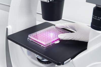 Virus Clearance Services